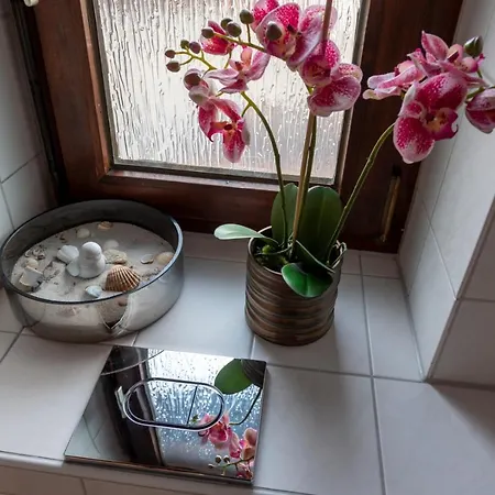 Sonnenschein * ロイテ