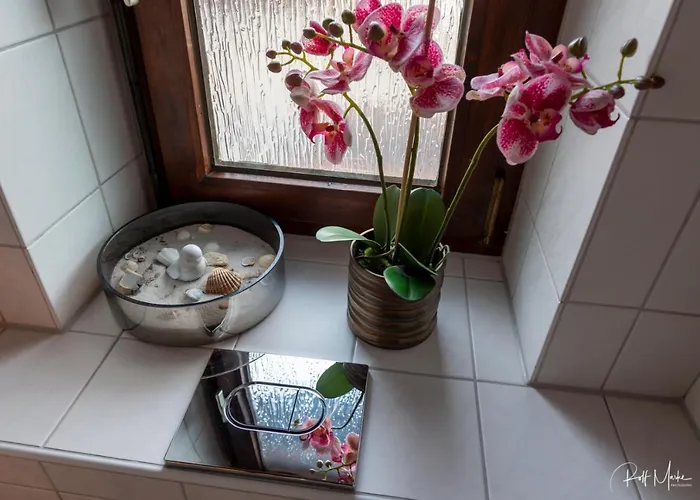 Sonnenschein * Reutte